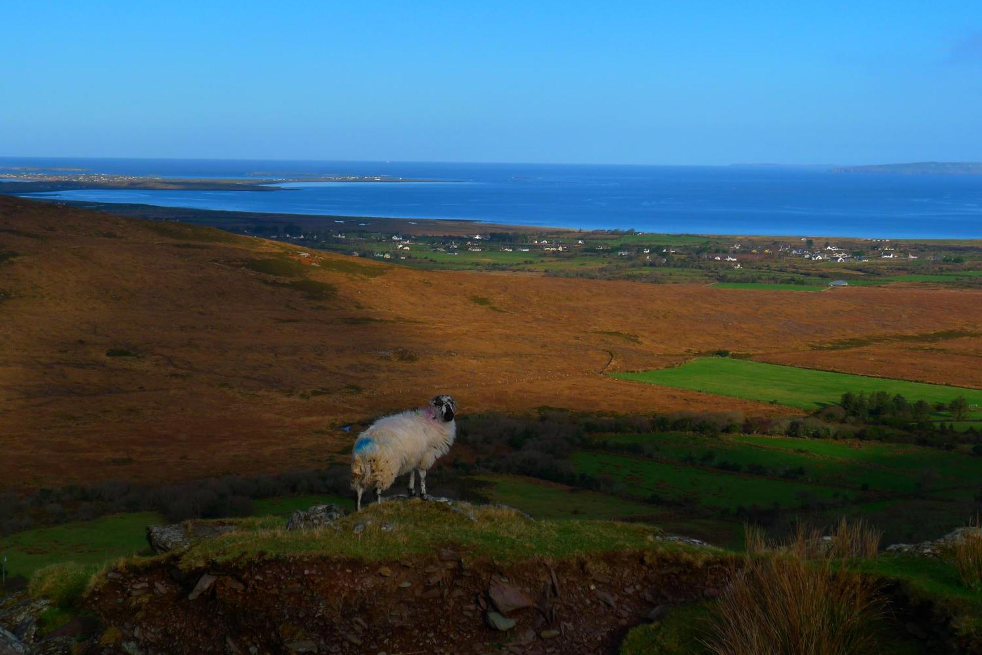Keanes Of Curraheen, Bar, Restaurant & Accommodation Tralee Zewnętrze zdjęcie